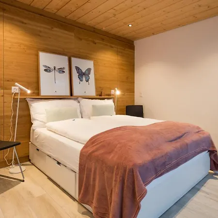 Montela & - Montela Pavillon